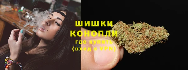 дмт Надым