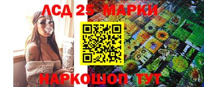 твердый Гатчина