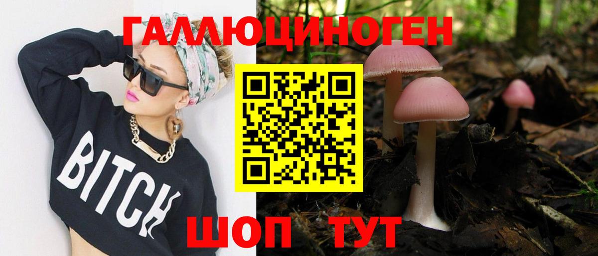 Псилоцибиновые грибы Psilocybine cubensis  Вход с VPN  Мичуринск 