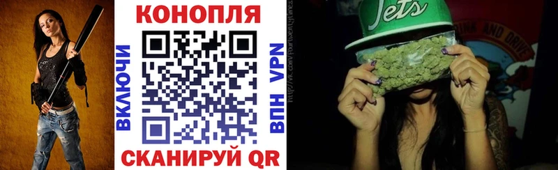Бошки марихуана SATIVA & INDICA как найти наркотики Мичуринск